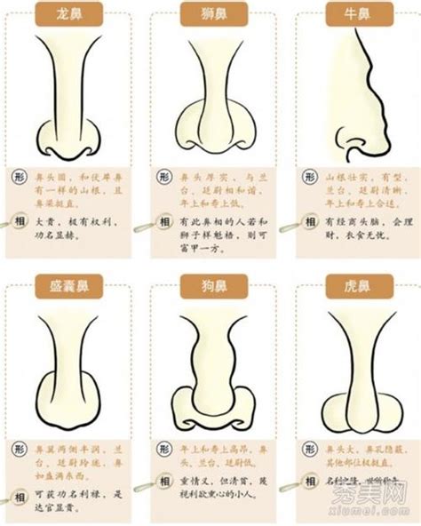 鼻孔一大一小面相|鼻孔大小不一样面相解析